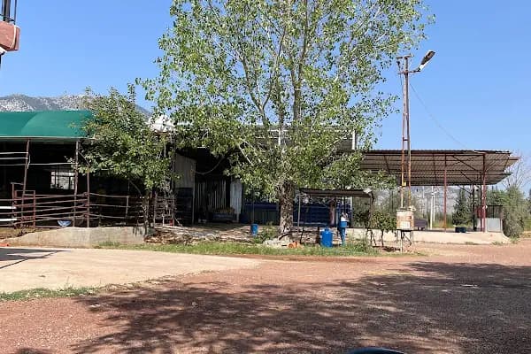 DÖĞÜŞ TARIM SOĞUK HAVA DEPOSU - Soğuk Hava Deposu Tesisi - Antalya Döşemealtı