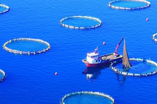 Kılıç - Kurumsal Ofis - Muğla Bodrum