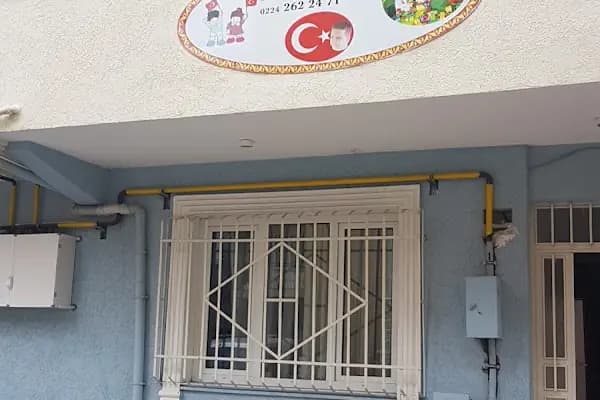 Özel Demirtaş Minik Canlar Anaokulu - Okul - Bursa Osmangazi