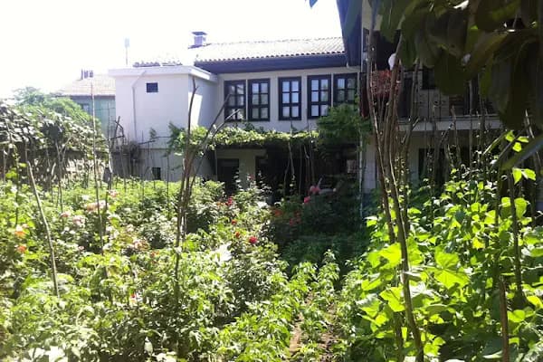 Cumalıkızık Abbas-I Âlâ Butik Pansiyon - Doğa Köşkü - Bursa Harmancık