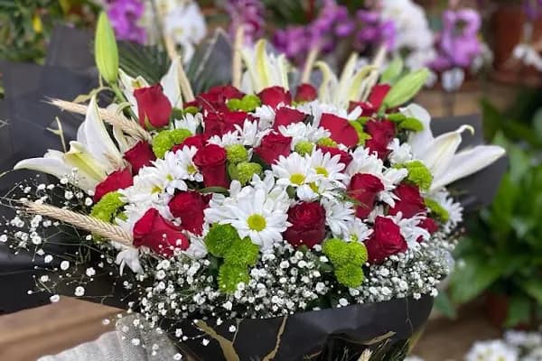 Garden çiçek - Çiçekçi - İstanbul Bağcılar
