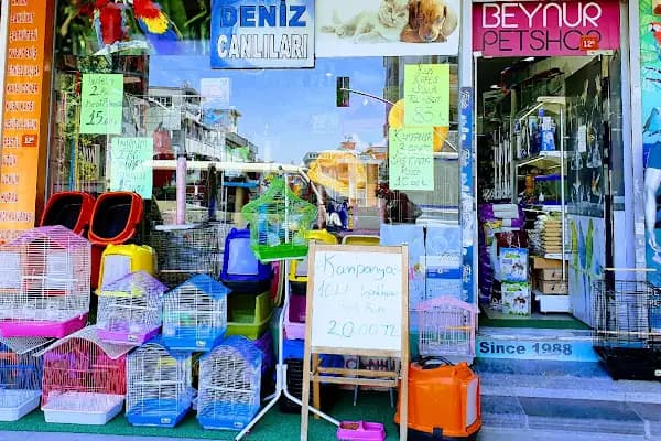 Beynur Petshop - Akvaryum - İstanbul Bağcılar