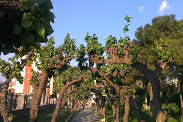 Şehit Piyade Onbaşı Aydın Uçar Parkı - Park - İzmir Buca