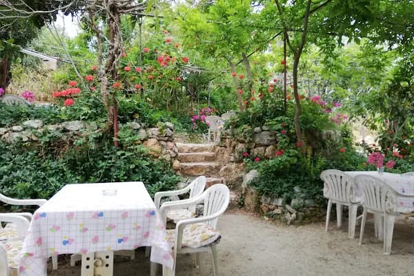Aydoğan Cafe - Kafe - Antalya Alanya