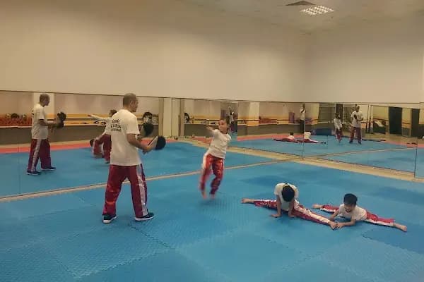 ALİ PEÇEN SPORTİF Voleybol ve Basketbol Okulu, Üst Göztepe-Esatpaşa Şubesi - Spor Okulu - İstanbul Avcılar