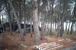 Umut Karaoğlanoğlu Ormanı