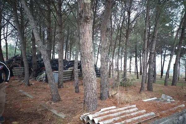 Umut Karaoğlanoğlu Ormanı - Ulusal Orman - Balıkesir Karesi