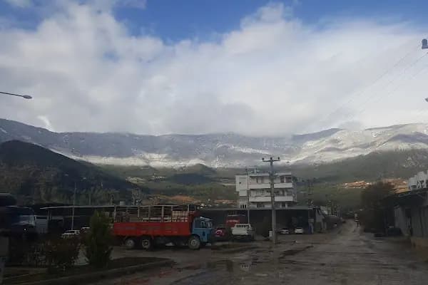 Turunçova Hali - Gıda Pazarı - Antalya Elmalı