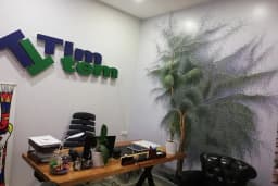 TimTem