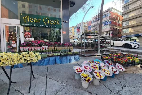 Acar Çiçek - Çiçekçi - Ankara Altındağ