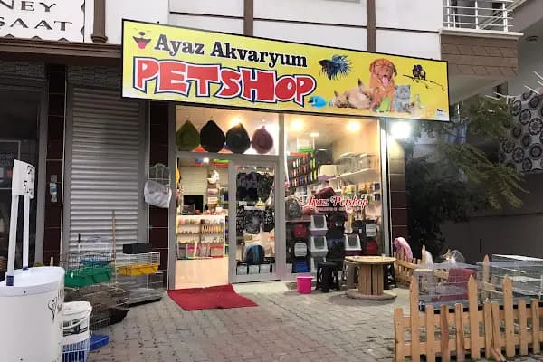 Ayaz Akvaryum Pet - Akvaryum Mağazası - Ankara Sincan