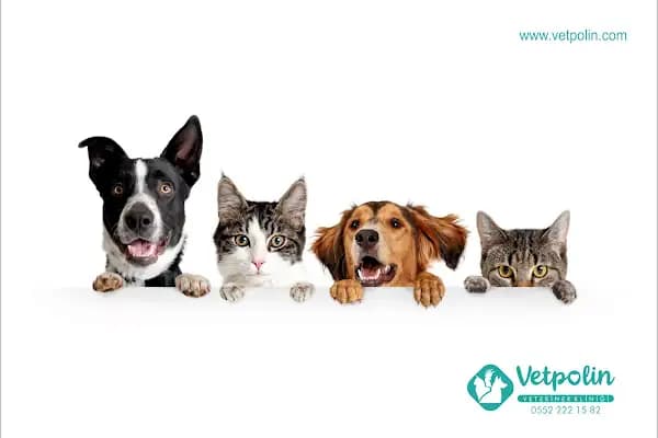 VETPOLİN VETERİNER KLİNİĞİ - Veteriner - Mersin Anamur