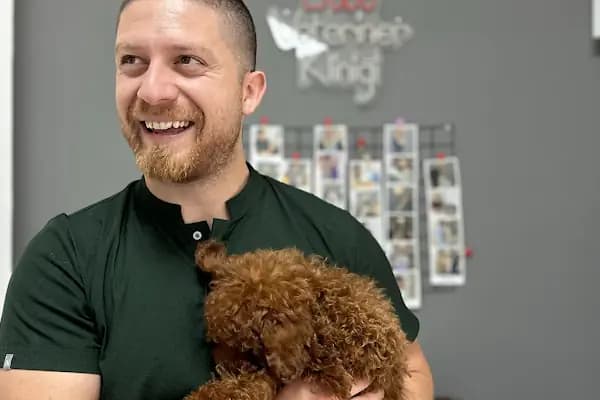 Narlıdere Bobo Veteriner kliniği - Veteriner - İzmir Aliağa