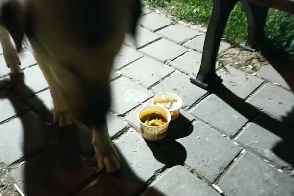 Casarosa PUB - Bar - Adana Karaisalı