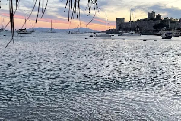 Bodrum City - Gazete Yayıncısı - Muğla Bodrum