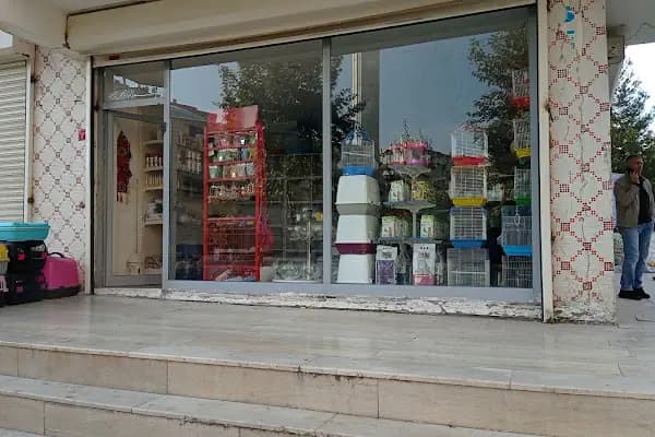 NATUREL AKVARYUM - Evcil hayvan mağazası - Diyarbakır Çermik