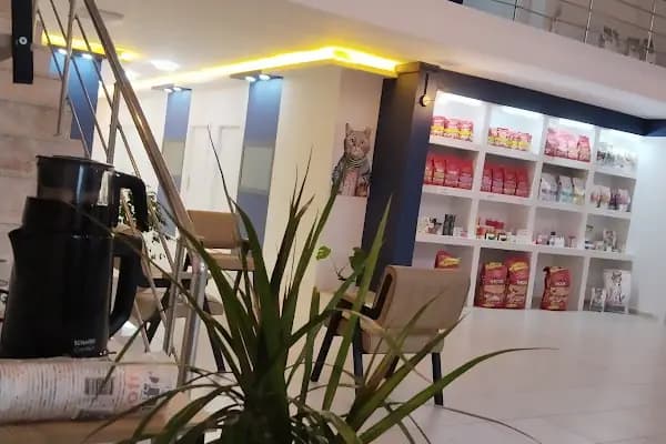 AKYURT METROPOL VETERİNER KLİNİĞİ - Veteriner - Tekirdağ Kapaklı