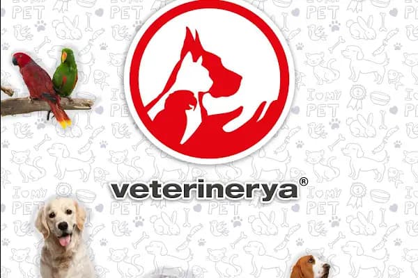 VETERİNERYA - Veteriner - Mersin Yenişehir