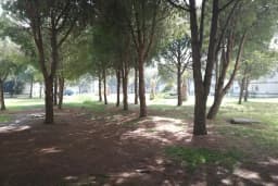 Çocuk Parkı