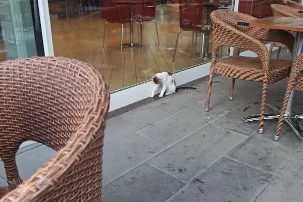 Burger King - Hamburger restoranı - İstanbul Bakırköy