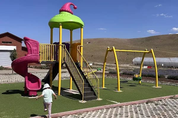 Afşin Lavanta Bahçesi - Bahçe - Kahramanmaraş Afşin