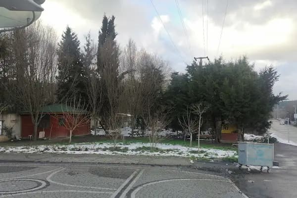 Ağlamış Dede Mezarlığı - Mezarlık - İstanbul Sarıyer