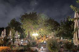 Dali Food &amp; Cafe