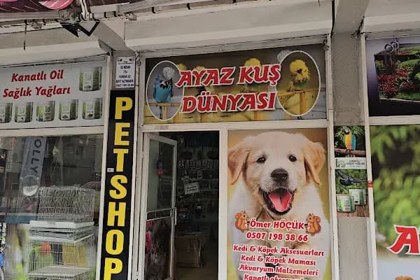 AYAZ PETSHOP - Evcil hayvan mağazası - Ankara Sincan