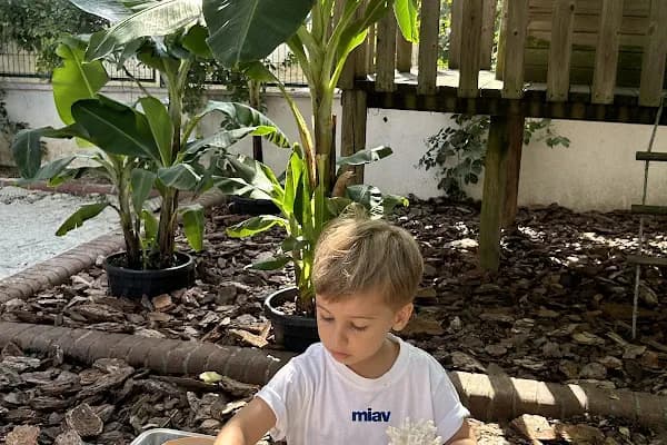 Hayat Ağacı Montessori Anaokulu - Okul - İstanbul Ataşehir