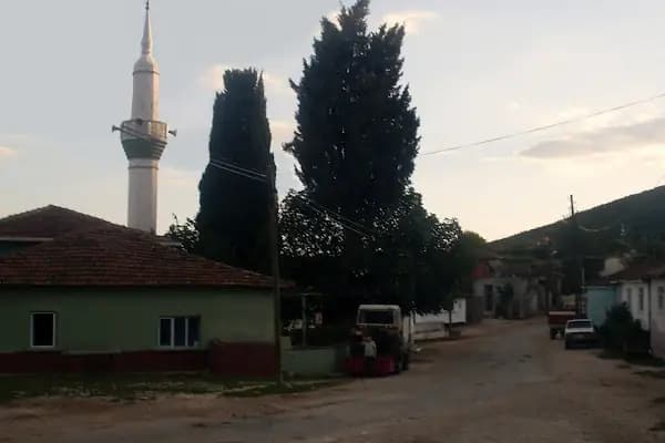 Akçapınar Köyü Muhtarlığı - Yerel Resmi Daire - Balıkesir Kepsut