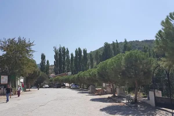 Kunduracı Çınarı Tabiat Anıtı - Milli Park - İzmir Bergama