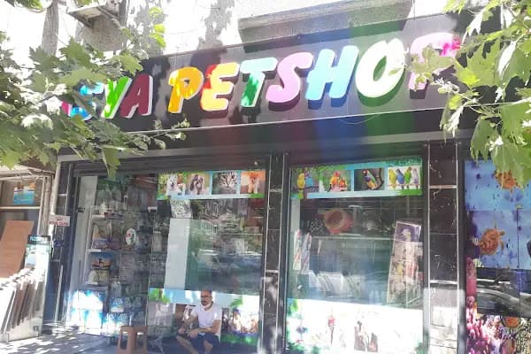 Asya Petshop - Evcil hayvan mağazası - İstanbul Bahçelievler