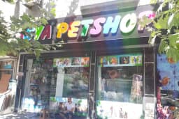 Asya Petshop