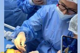 Dermatolog Prof Dr Şule Güngör, fraksiyonel lazer, akne izi tedavisi , İstanbul Kök hücre, Botoks (Botox) , Dolgu Saç Ekimi
