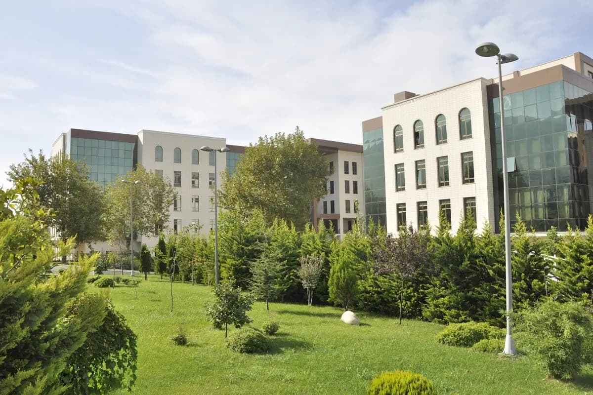 Üniversite