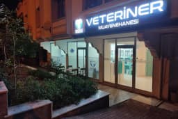 Florium Veteriner Muayenehanesi