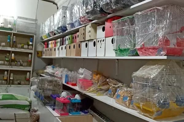 ATEŞ PETSHOP - Evcil hayvan mağazası - Şanlıurfa Haliliye
