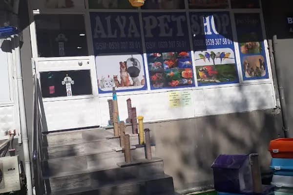 Alya Petshop - Evcil hayvan mağazası - Adana Çukurova