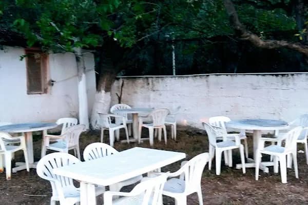 Küçübük İpek Kamp ve Piknik Alanı - Kamp Alanı - Yalova Yalova Merkez