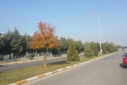 Manisa Organize Sanayi Bölge Müdürlüğü