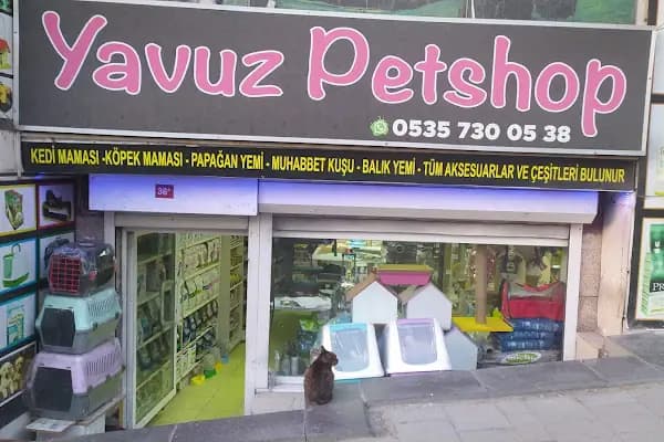 Yavuz Pet Shop - Evcil Hayvan Malzemeleri Mağazası - İstanbul Bağcılar