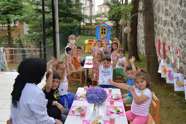 Boztepe Karınca Yuvası Kreş ve Gündüz Bakımevi - Anaokulu - Trabzon Arsin