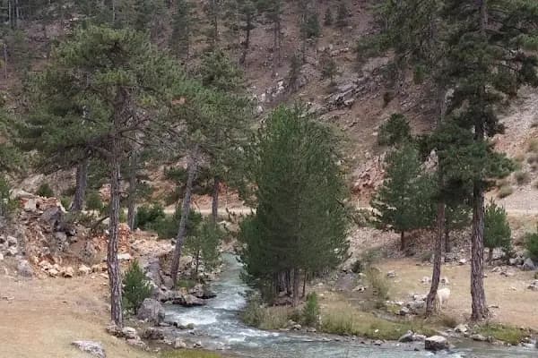 Aksu Kaymakamlığı - Devlet Dairesi - Isparta Aksu