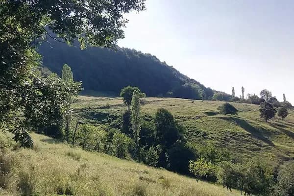 ASİL ÇELİK SAN. VE TİC. A.Ş. - Çelik Üreticisi - Bursa Gemlik