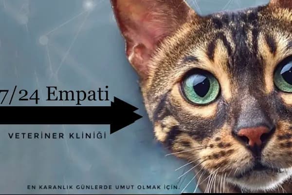 Çerkezköy Empati Veteriner Kliniği - Veteriner - Tekirdağ Kapaklı