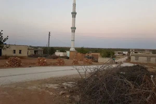Cami - Cami - Şanlıurfa Bozova