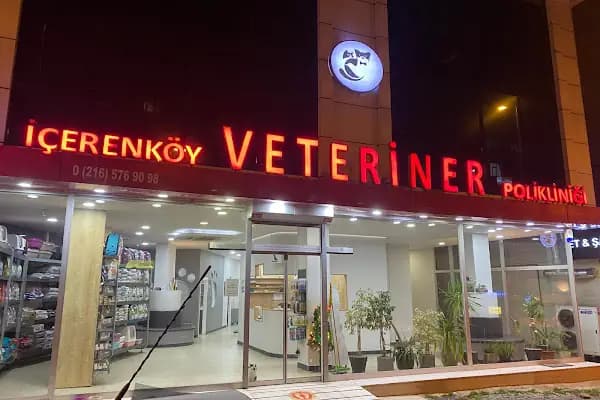 İçerenköy Veteriner Polikliniği - Veteriner - İstanbul Ataşehir