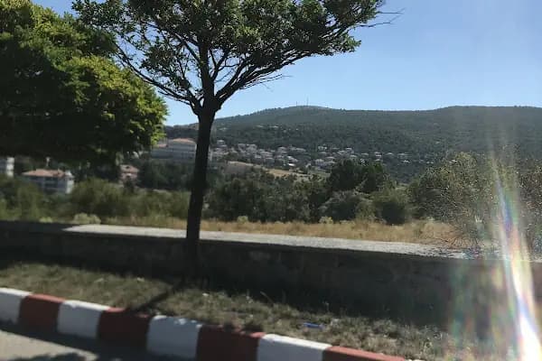 Alpet Yayalar Mh. - Benzin İstasyonu - Ankara Çankaya