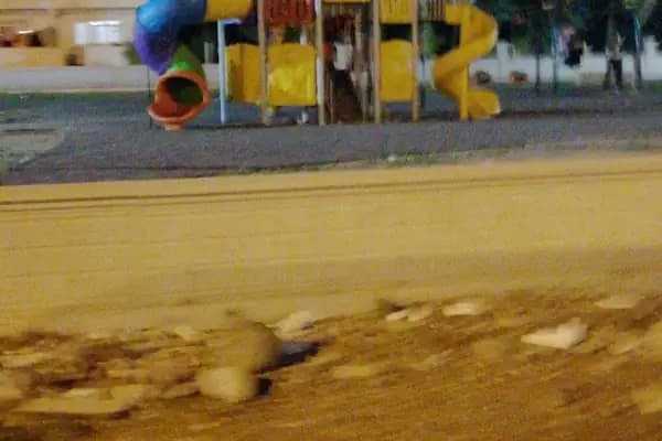 HANLIKÖY PARK - Park - Sakarya Arifiye