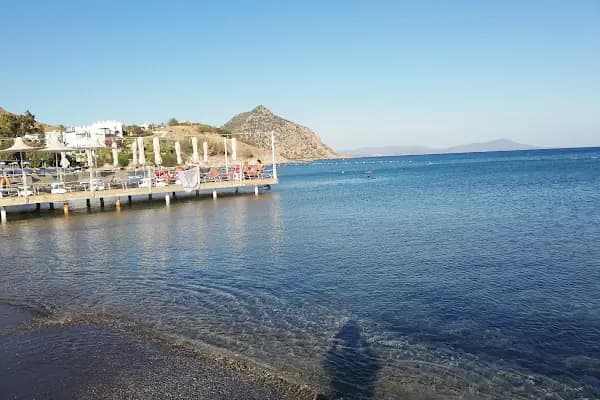 Sunny Garden Restaurant - Restoran - Muğla Bodrum